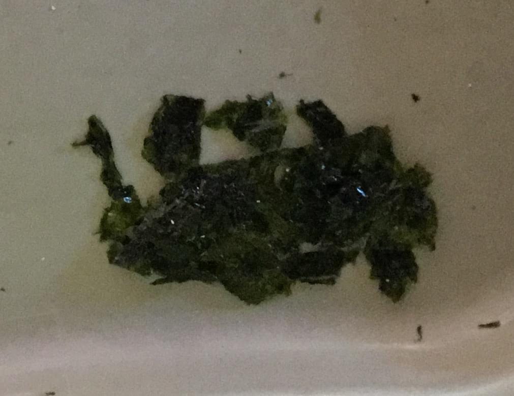 用海菜做的火車
